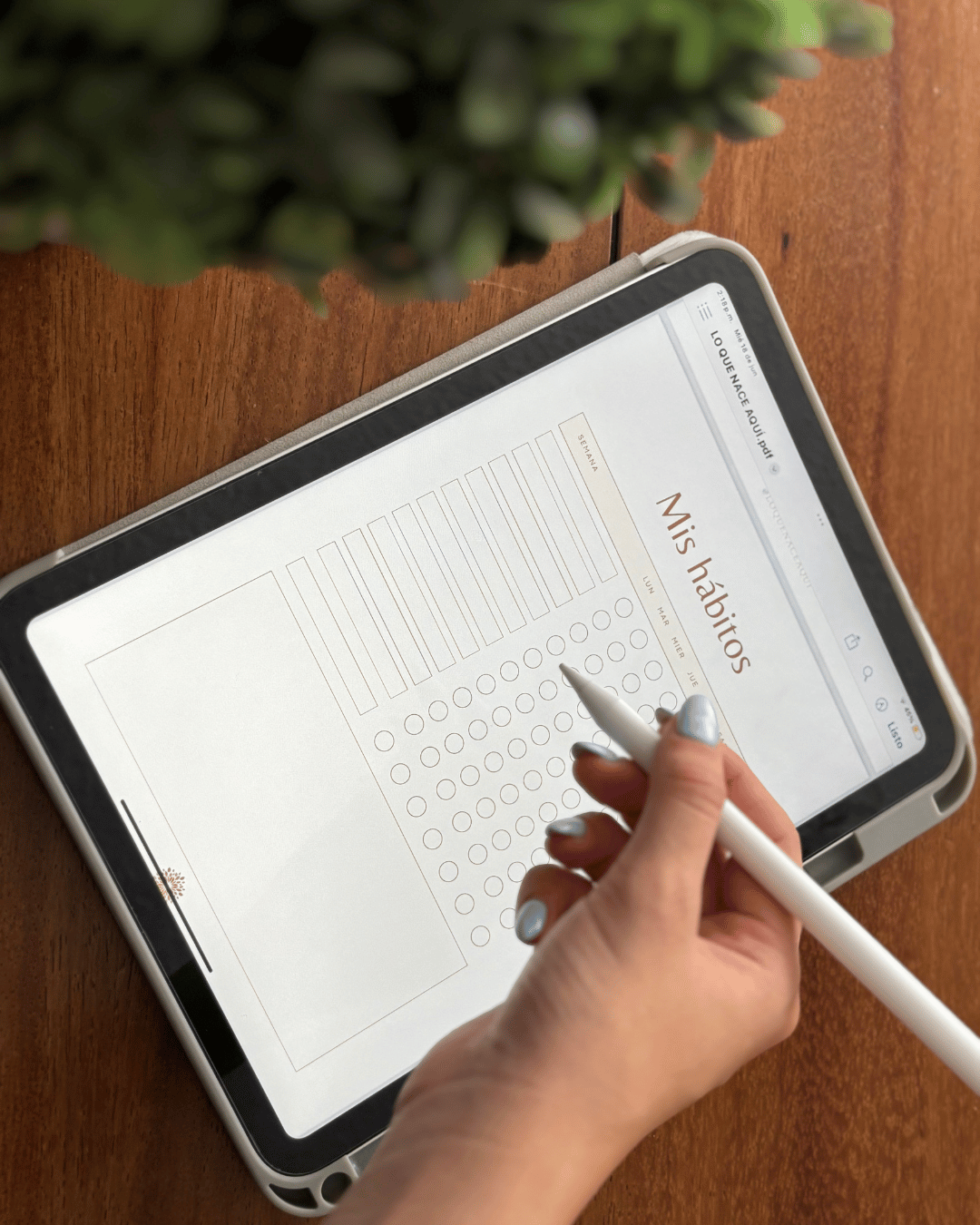 Un mapa para explorar tu mundo interior con ejercicios, reflexiones y hábitos que sanan.